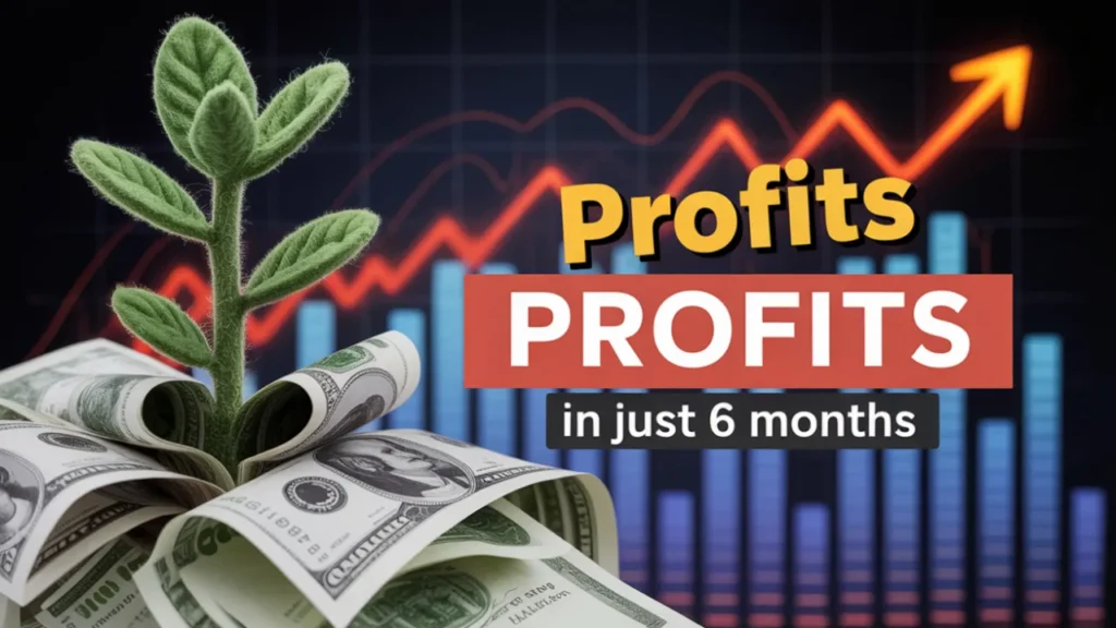 The $1,000 Challenge: Earning 18% Returns in 6 Months