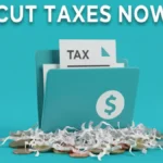 Smart Tax-Saving Investment Plans for FY 2025–26: Legal Ways to Reduce Tax